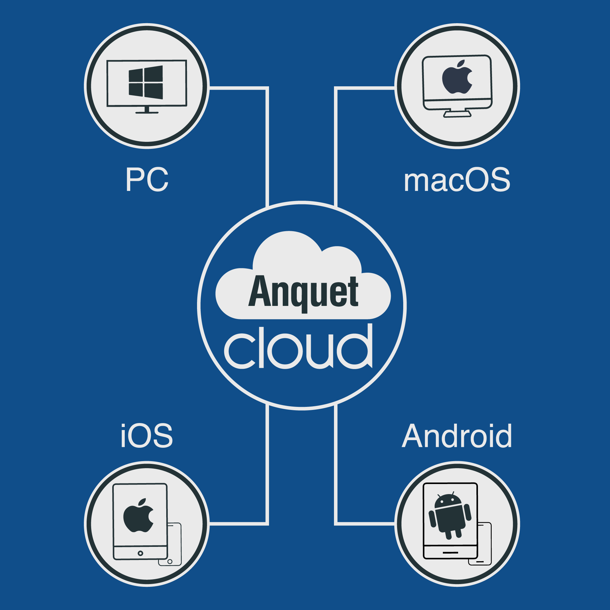 Temporary review visual showing legacy Anquet Cloud artwork for personal data sync